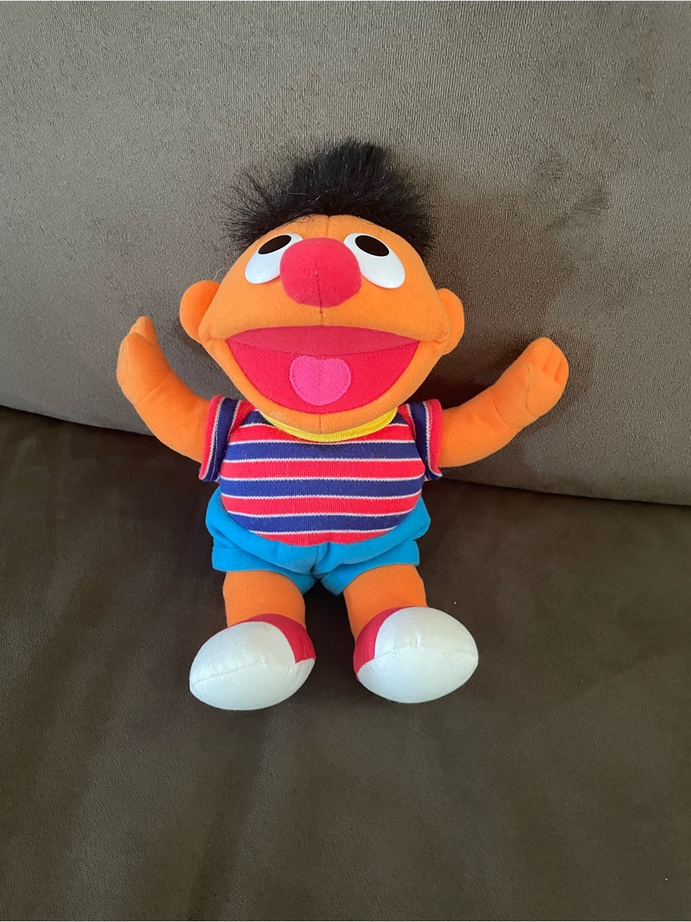Ernie from Sesame Street